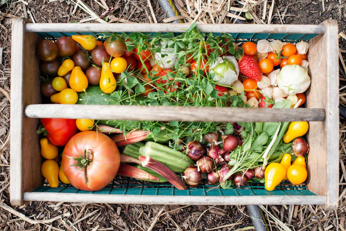 Producepay Raises $38m For Farmer Financial Stability